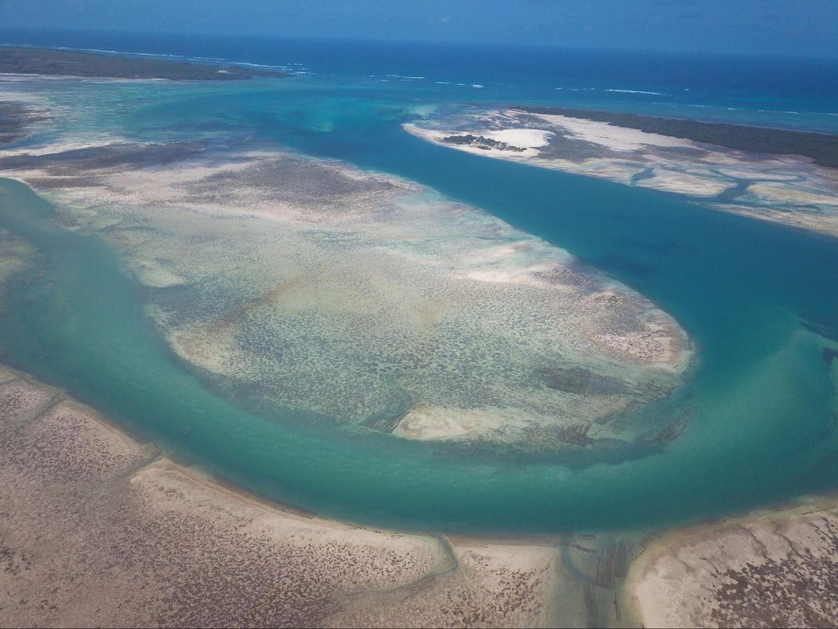 Aerial view of sea cucumber ranching pens in Zanzibar seagrass meadows