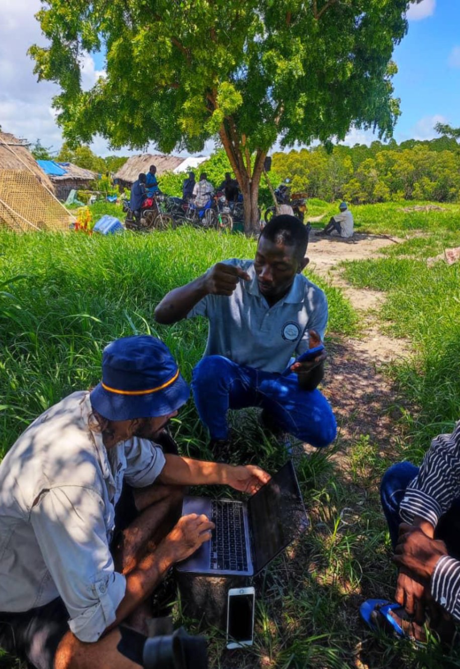 Field monitoring in a seagrass bed
