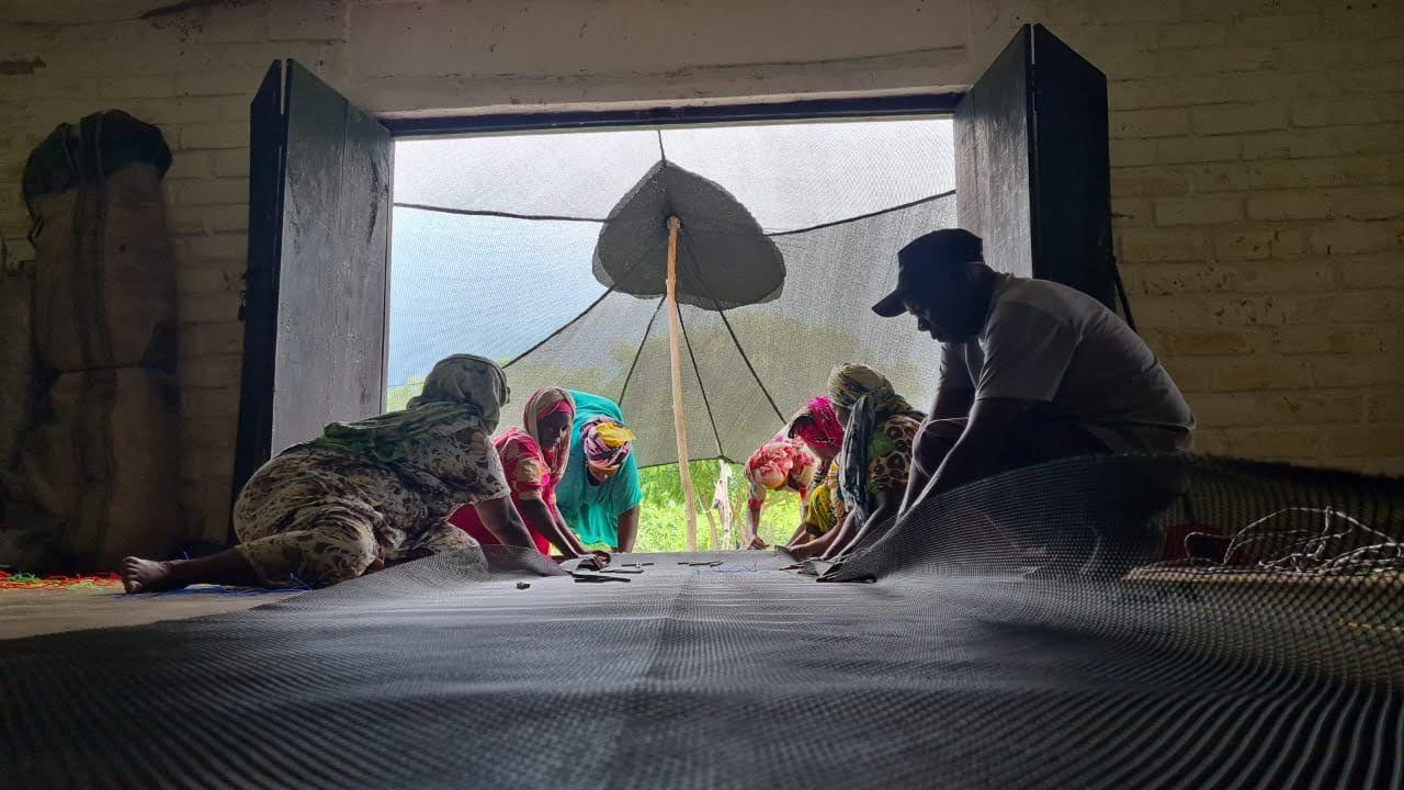 Cooperative members working with netting in the shallows