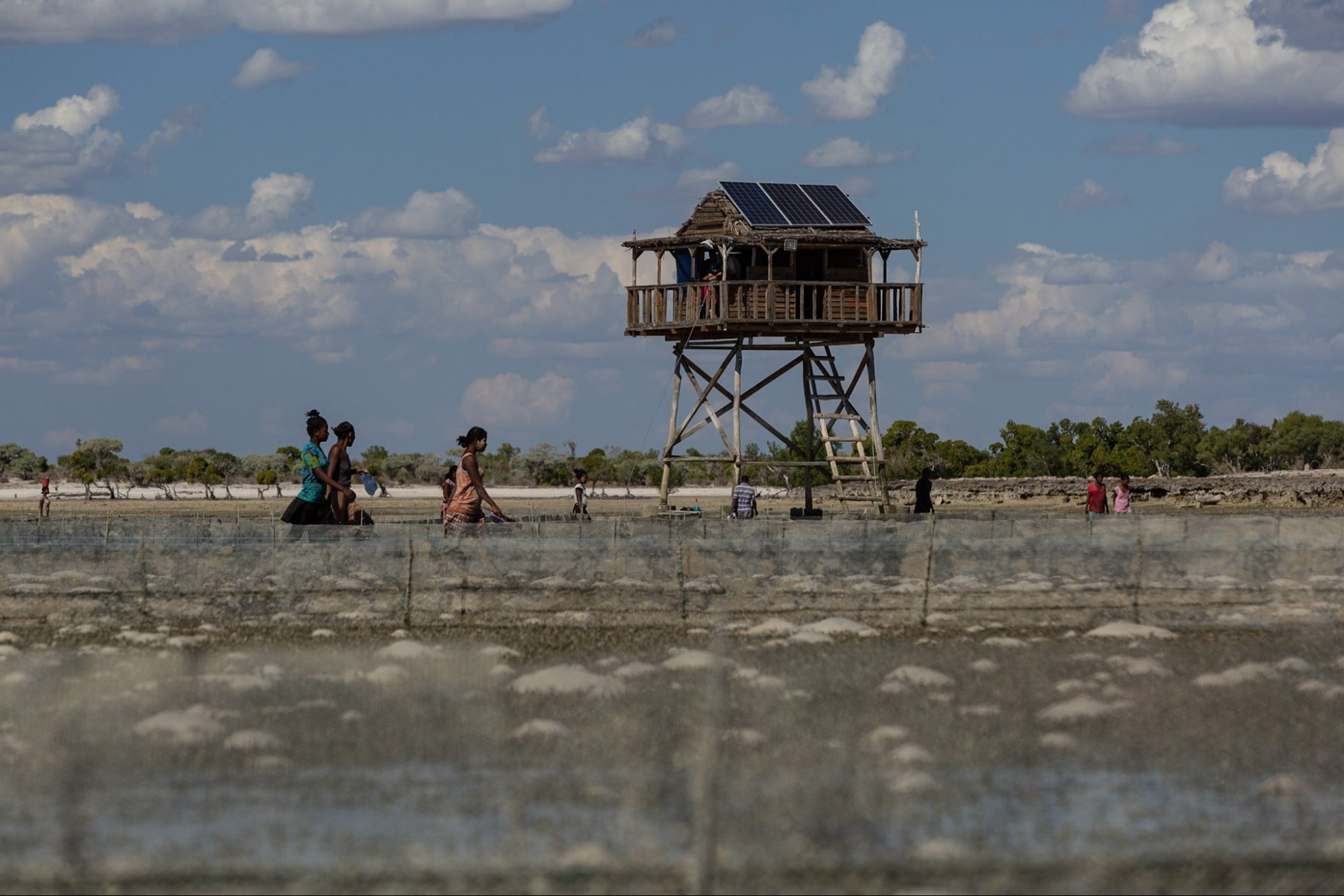 Watchtower over the Shamiani CORE Zone, Pemba